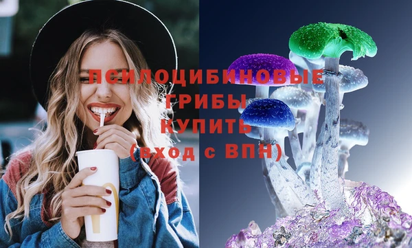гидропоника Инсар