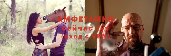 дмт Тавда